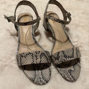 Circus By Sam Edelman Ibis Sandal Snake